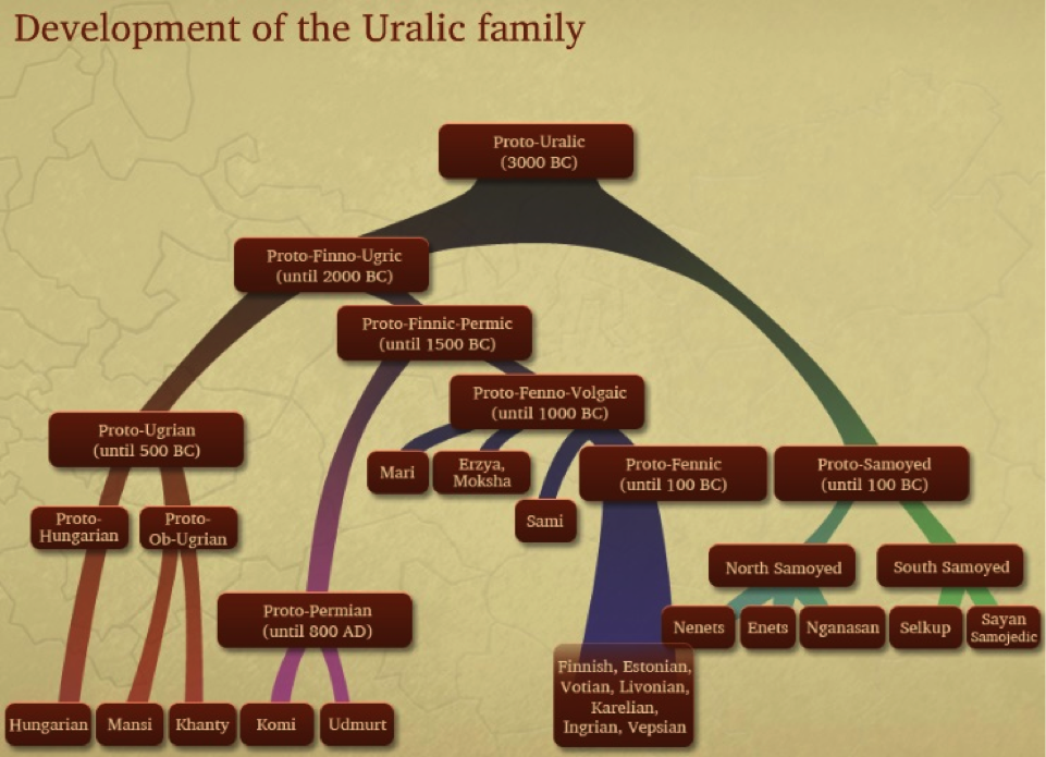 Язык family. Финно-угорская группа языков. Карта финно-угорских языков. Финно-угорская семья языков. Языки финно угорской семьи.